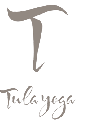 Aerial Yoga Classes, Tula Yoga